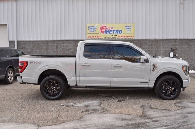 2023 Ford F-150 Platinum's photo