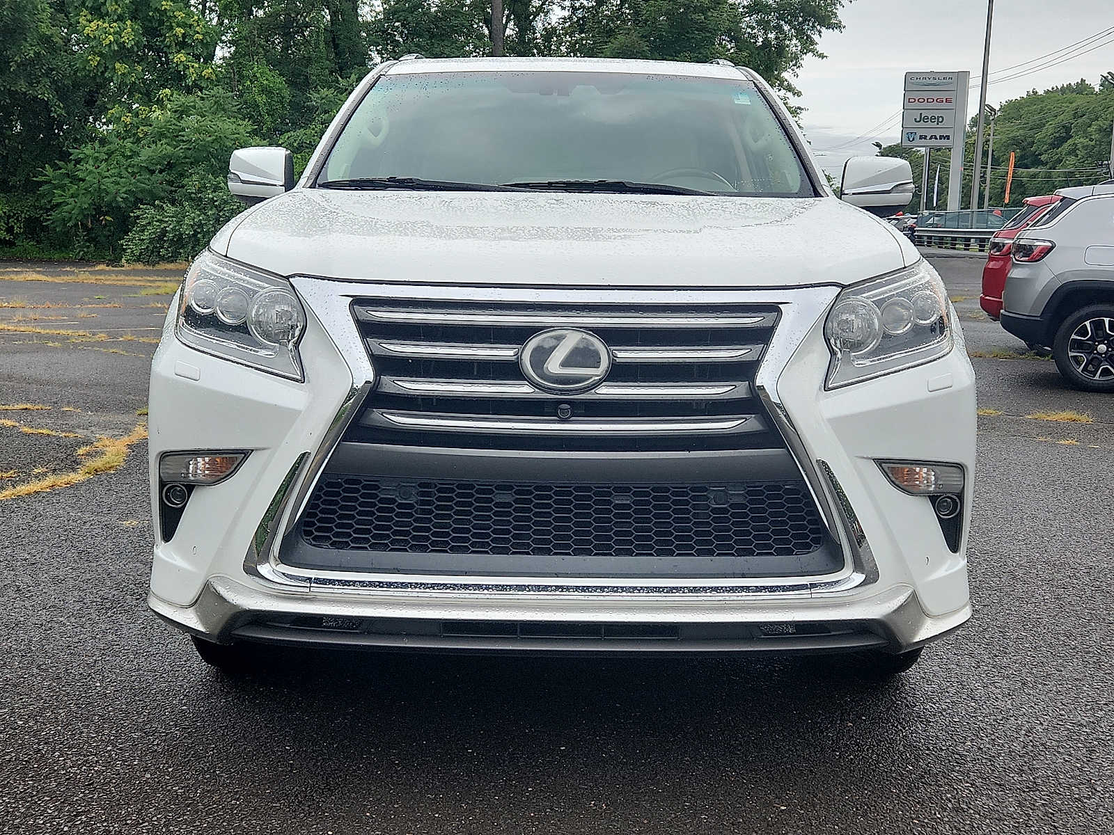 2019 Lexus GX Luxury photo 2