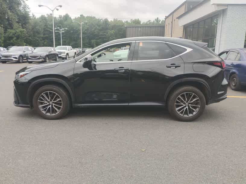 2022 Lexus NX 350 - Photo 7