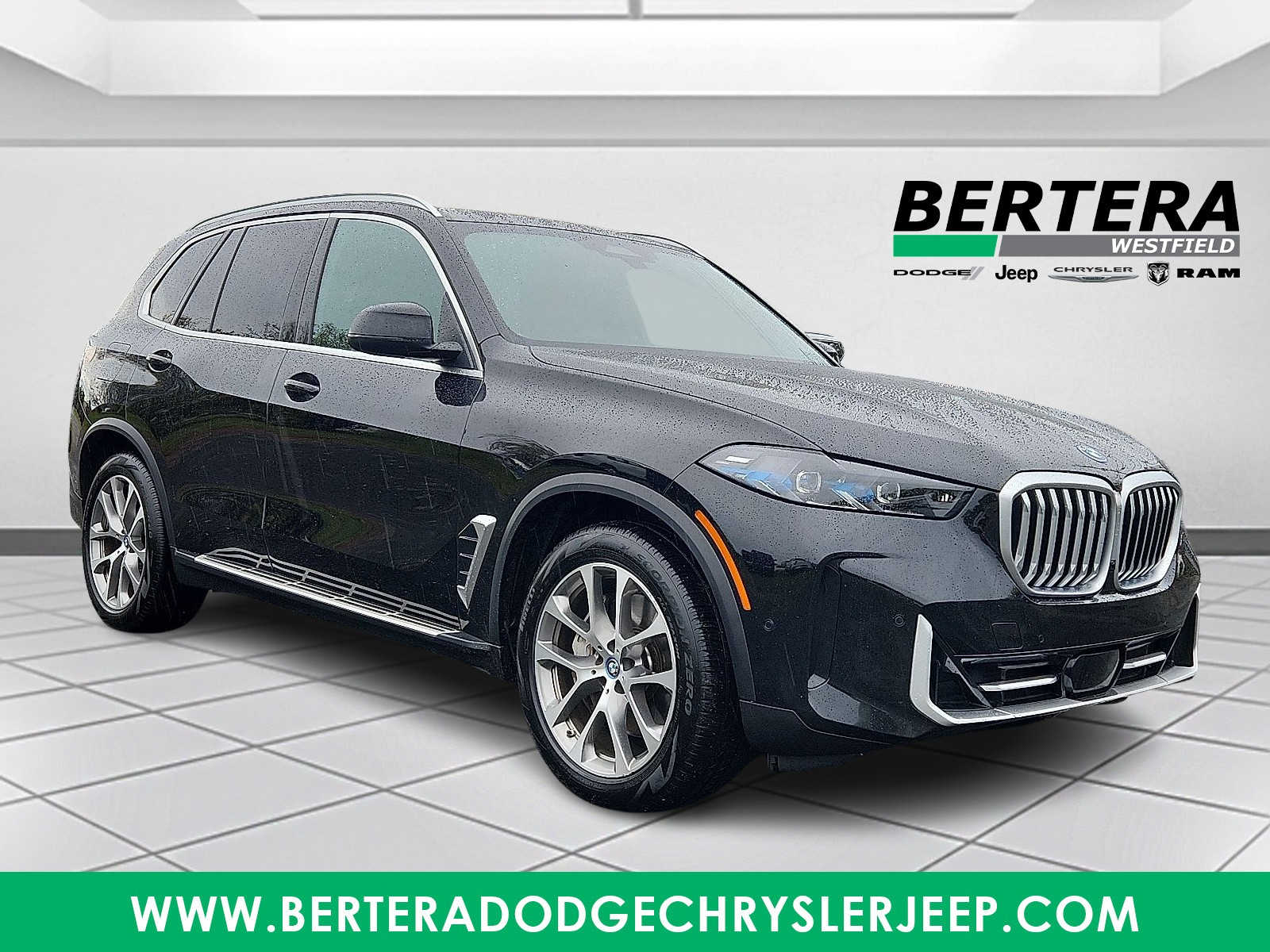 2025 BMW X5 50e's photo