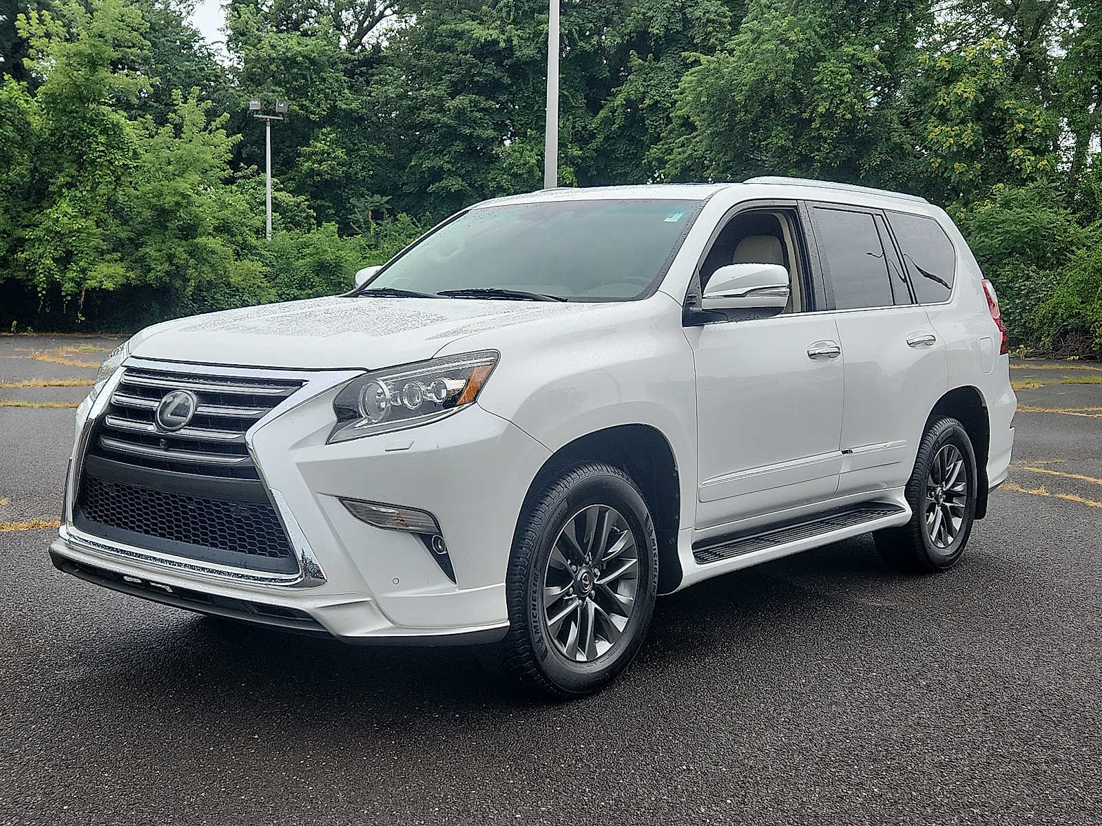 2019 Lexus GX Luxury photo 3