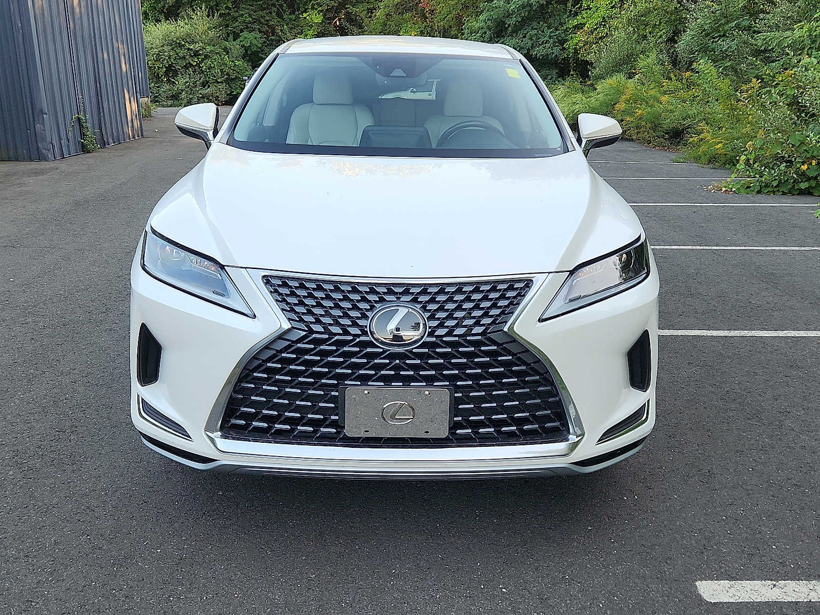 2022 Lexus RX 350 photo 2