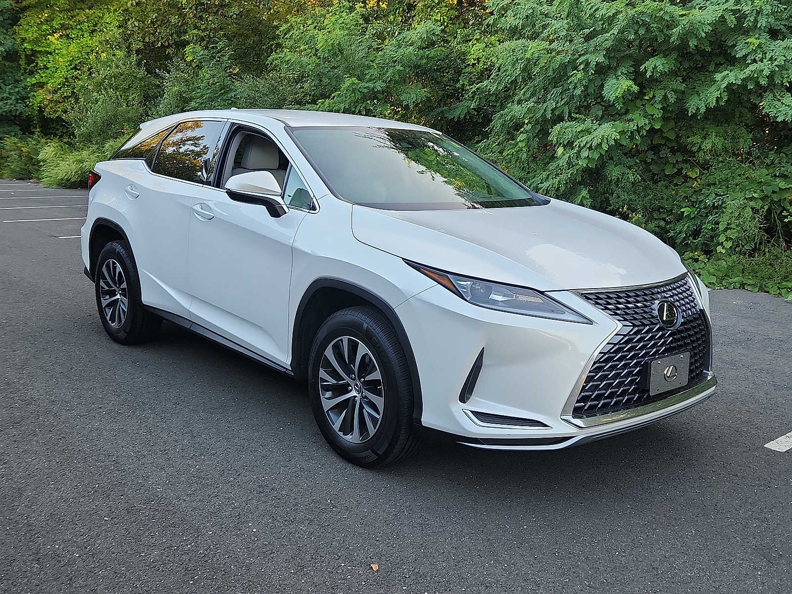 2022 Lexus RX 350 photo 3