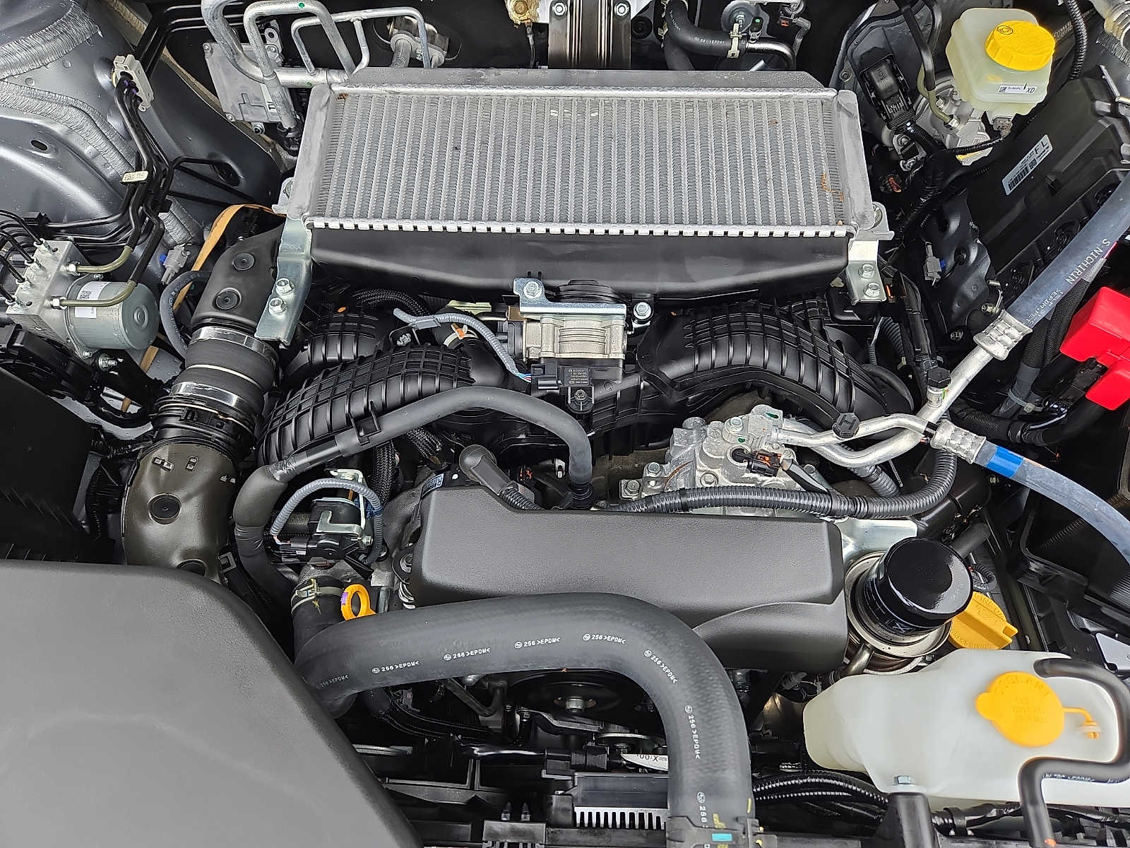 2025 Subaru Ascent Limited - Photo 28