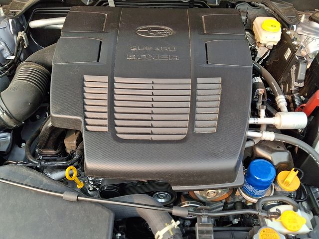 2025 Subaru Forester Wilderness - Photo 29