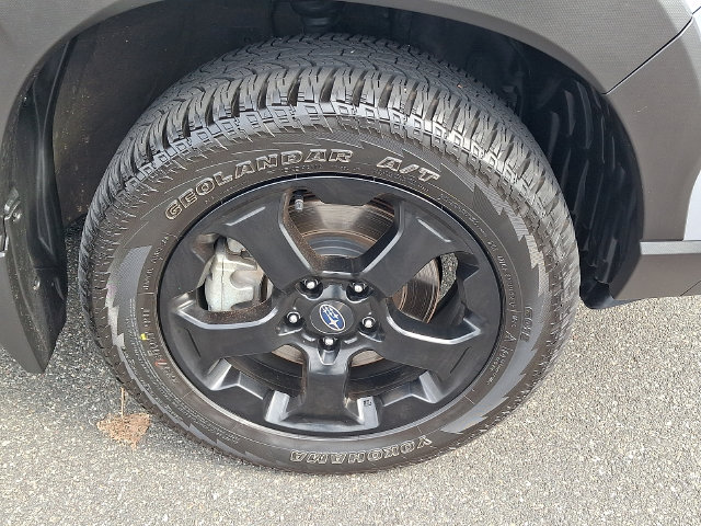 2023 Subaru Forester Wilderness - Photo 8