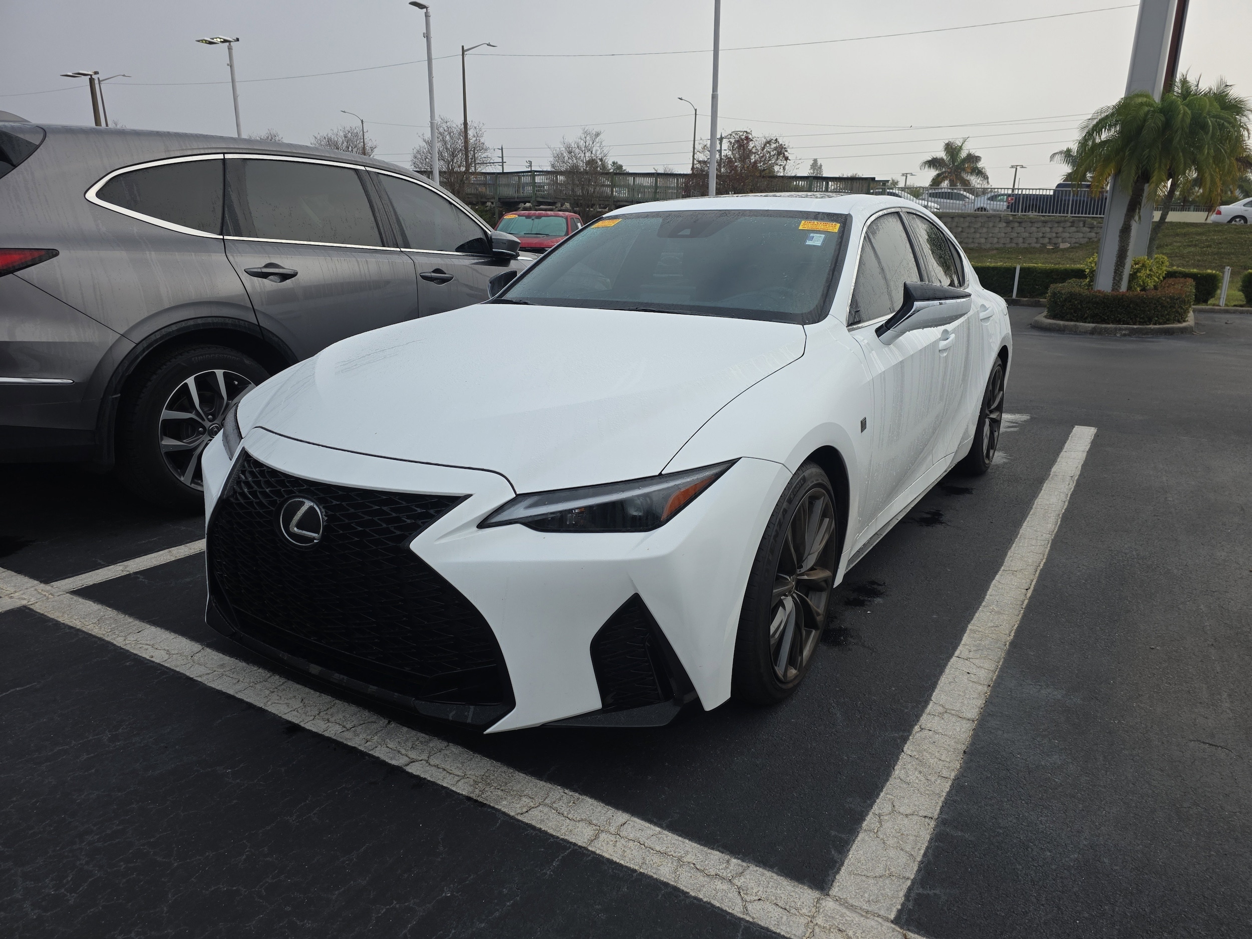 2025 Lexus IS 350 F SPORT DESIGN's photo