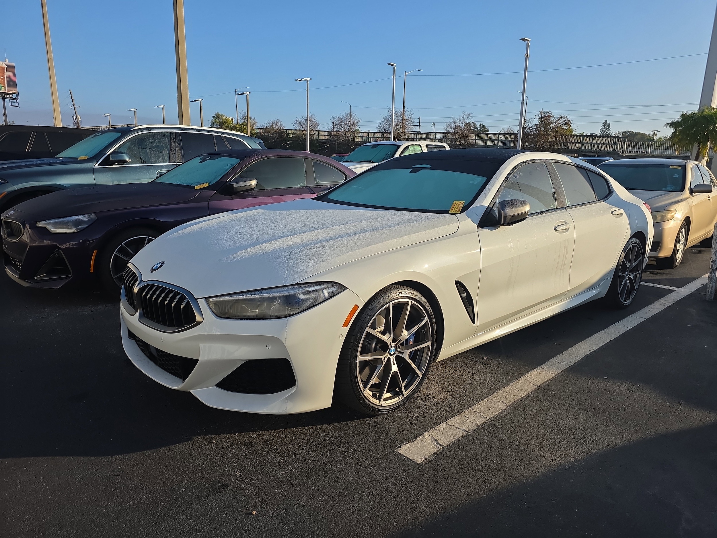 2020 BMW 8 Series M850i's photo