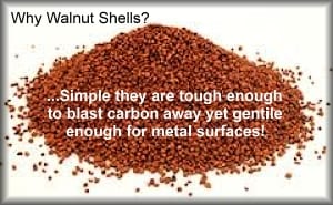 walnut shells picture