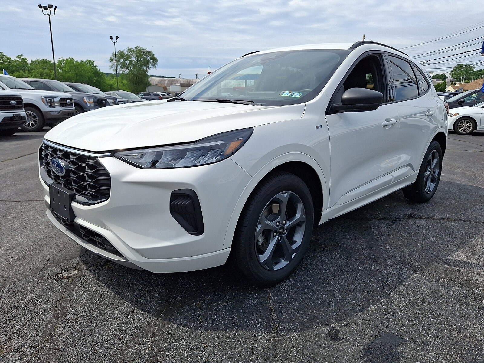 Photo 3