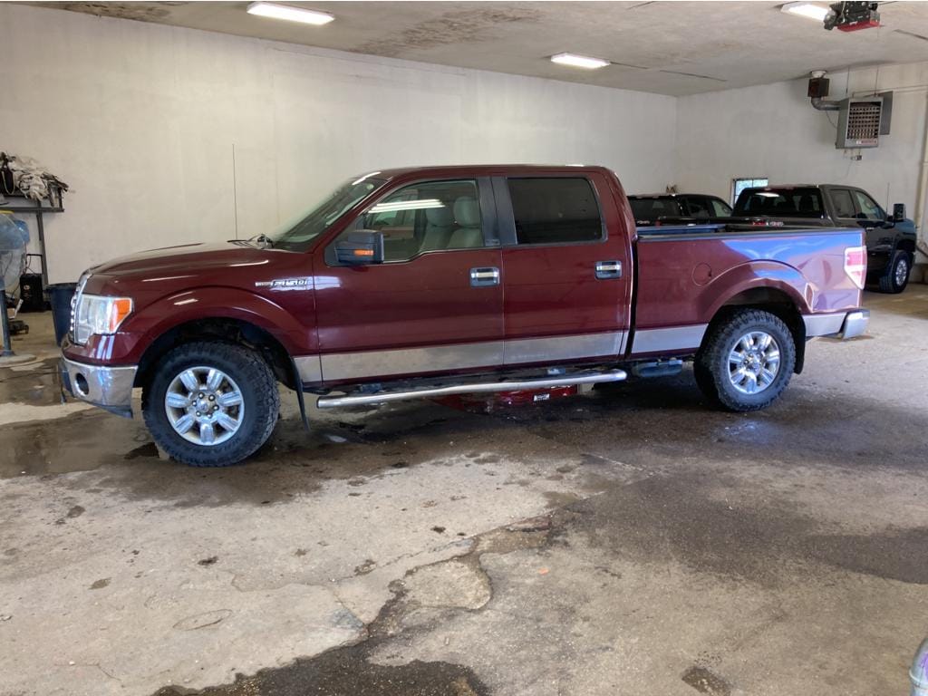 Used 2010 Ford F-150 XL with VIN 1FTFW1EV7AKE16409 for sale in Carrington, ND