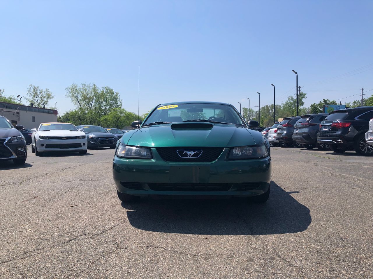 2000 Ford Mustang Base photo 2