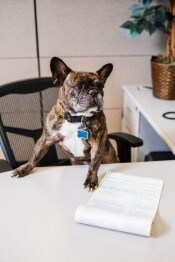 Staff member Woody from ID_81f080aee298