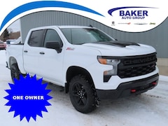 new 2022 Chevrolet Silverado 1500 Custom Trail Boss Truck for sale 