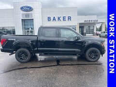 2025 Ford F-150 XLT Truck for sale in Ludington, MI