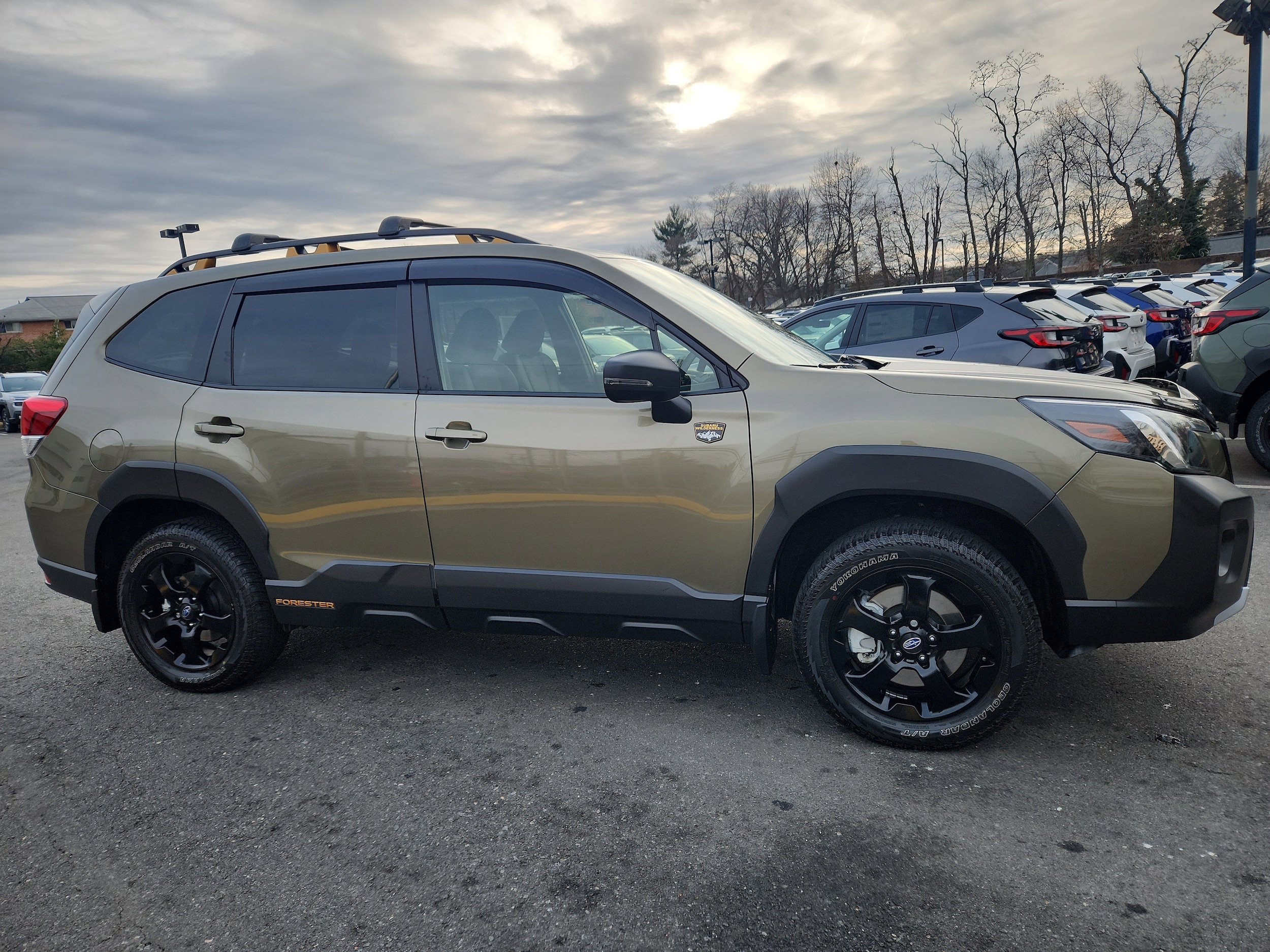 2024 Subaru Forester Wilderness's photo