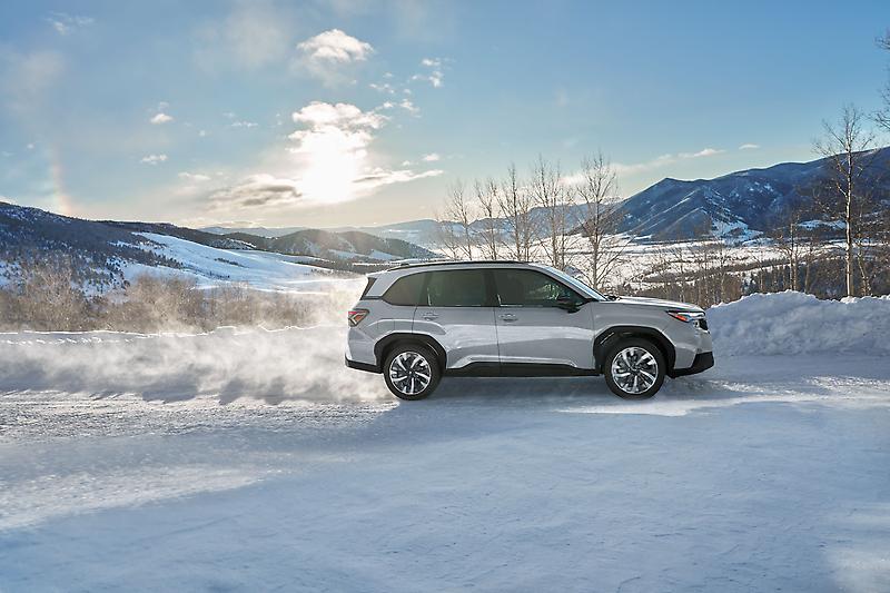 Forester_Winter_2__mid.jpg