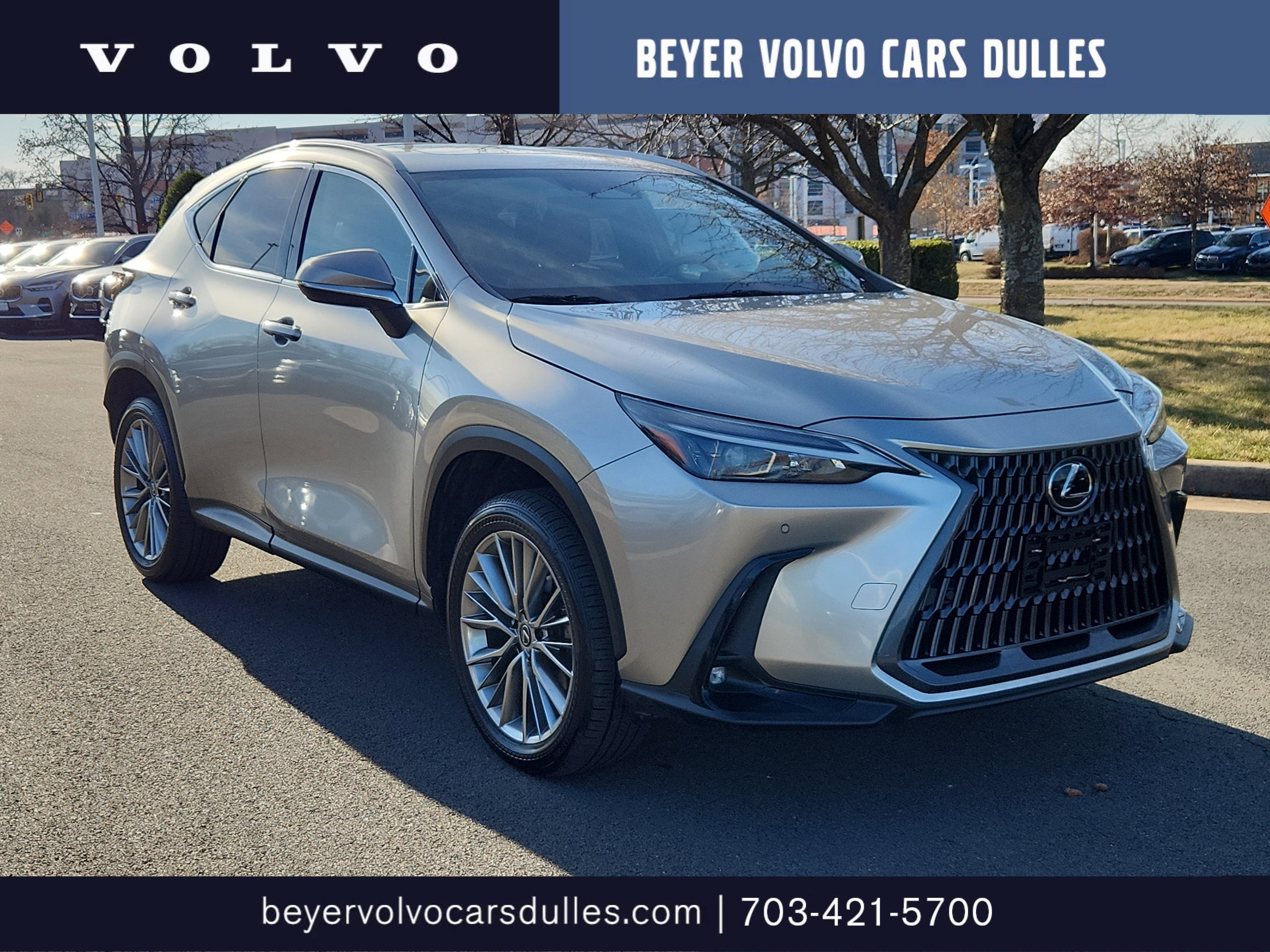 2022 Lexus NX 350's photo