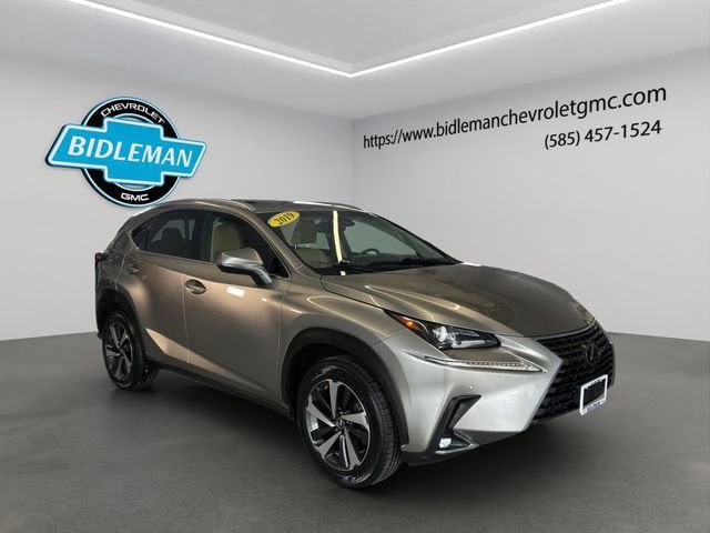 2019 Lexus NX 300's photo