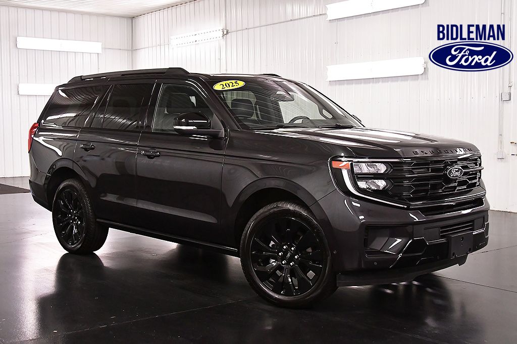 2025 Ford Expedition Platinum 4x4's photo