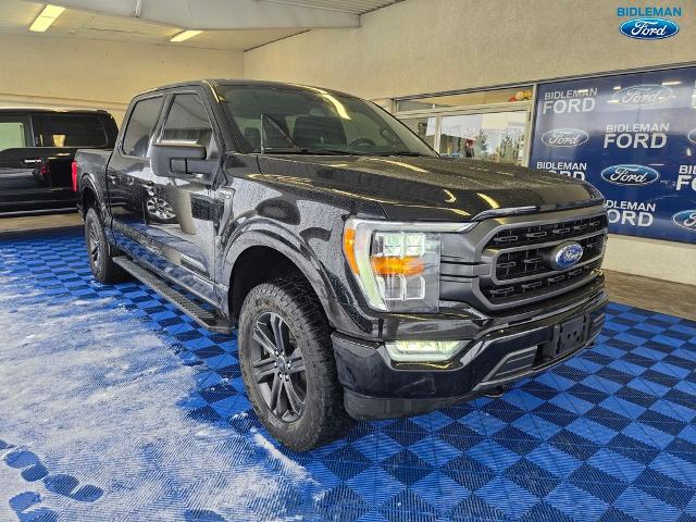 2022 Ford F-150 XLT's photo