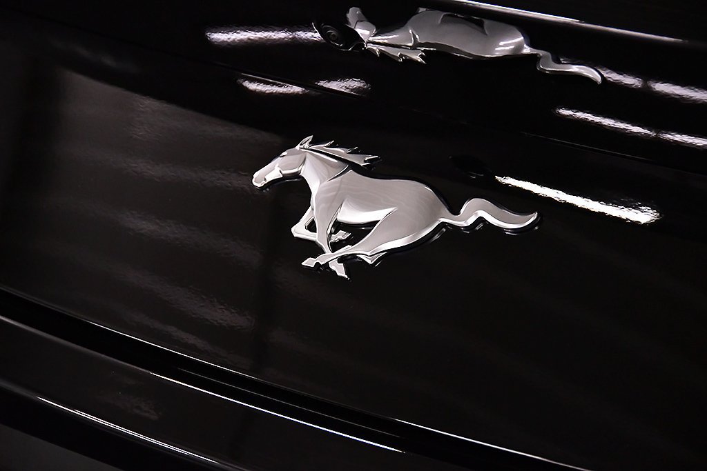 2026 Ford Mustang EcoBoost Fastback - Photo 11