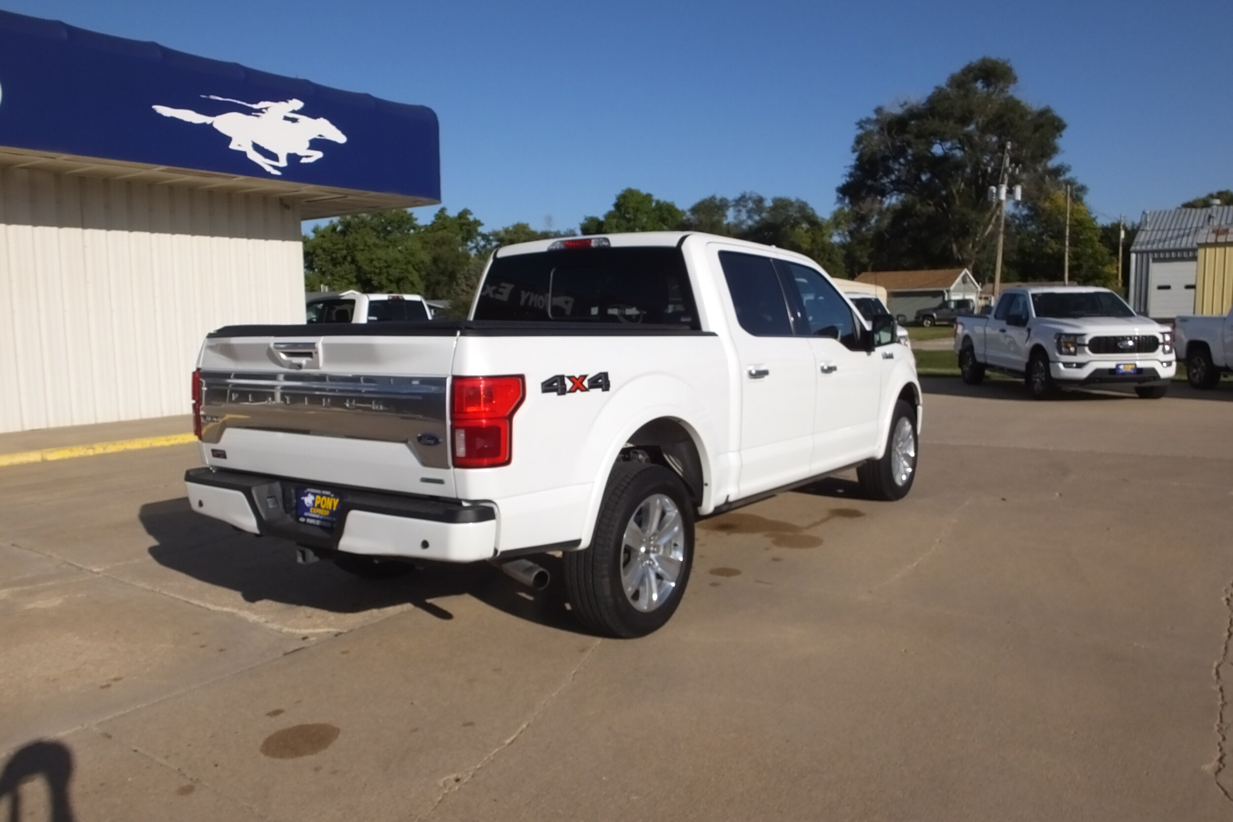 2020 Ford F-150 Platinum photo 3
