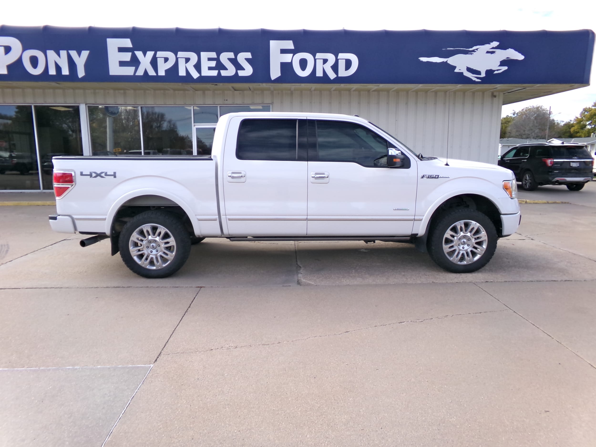 Used 2012 Ford F-150 Platinum with VIN 1FTFW1ET4CFC56046 for sale in Minden, NE