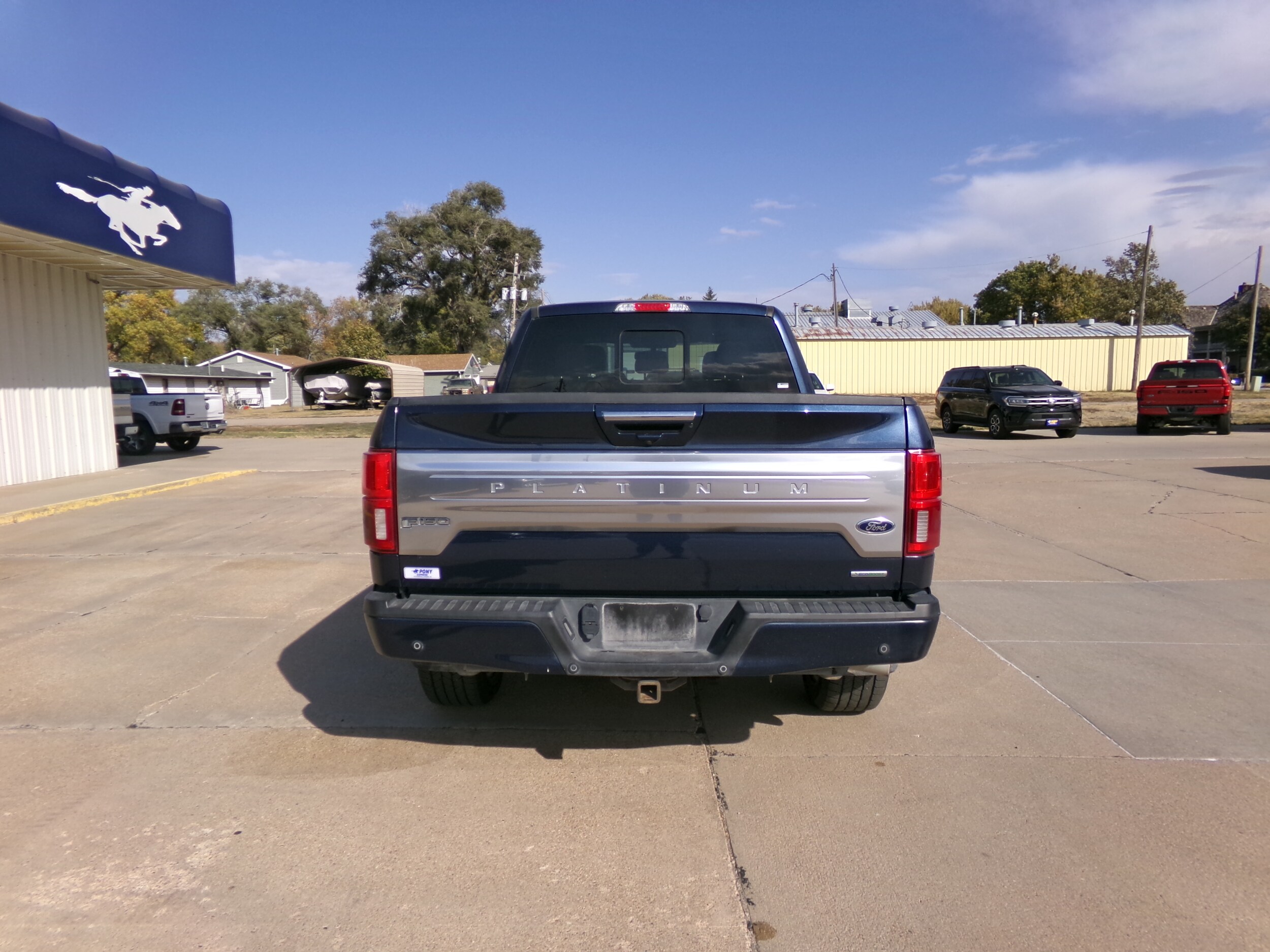 2020 Ford F-150 Platinum photo 4