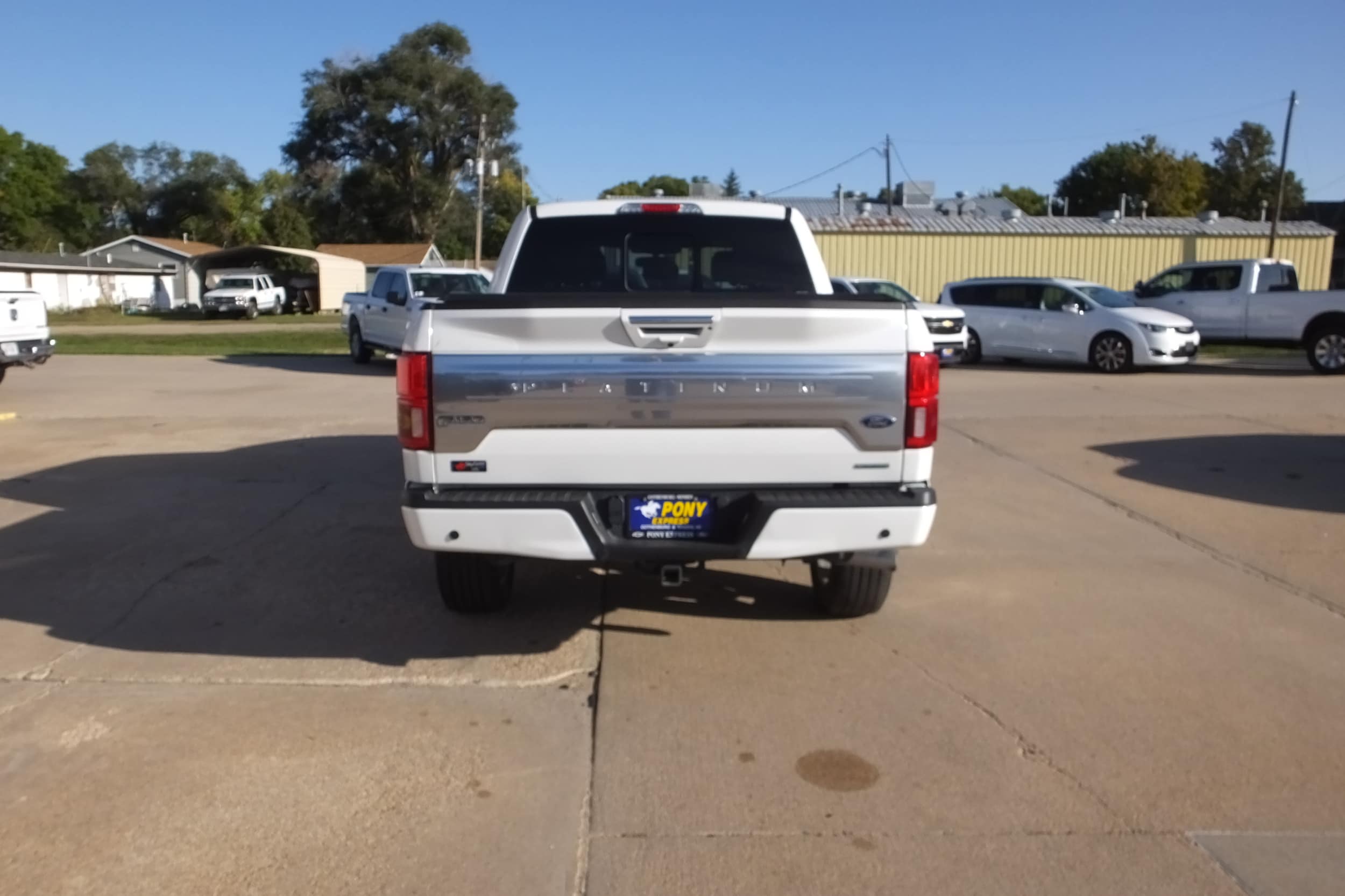 2020 Ford F-150 Platinum photo 4