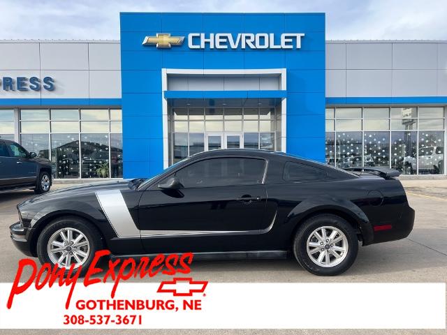 2006 Ford Mustang Standard's photo