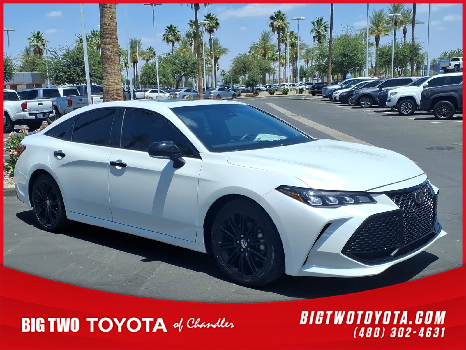 2021 Toyota Avalon XSE Nightshade's photo
