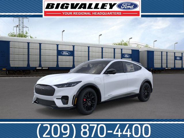 2025 Ford Mustang Mach-E Premium RWD's photo