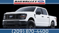 2025 Ford F-150 STX Truck