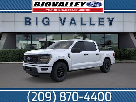 2025 Ford F-150 STX Truck