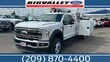 Ford F-550SD