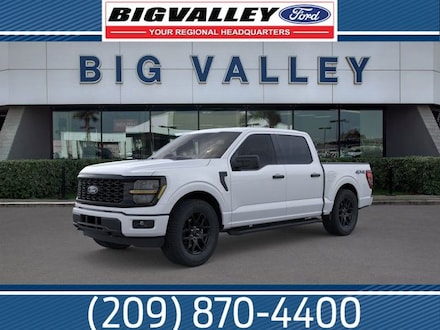 2025 Ford F-150 STX Truck