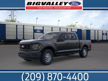 2025 Ford F-150 XL Truck