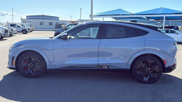 2025 Ford Mustang Mach-E GT - Photo 6