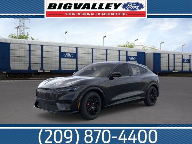 2025 Ford Mustang Mach-E Premium RWD's photo