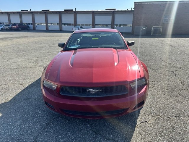 2010 Ford Mustang V6 photo 3