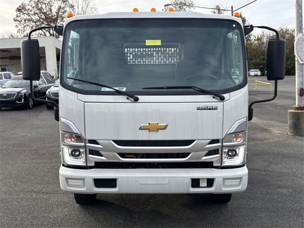 New 2025 Chevrolet Low Cab Forward 4500 Medium ASH Gray Truck