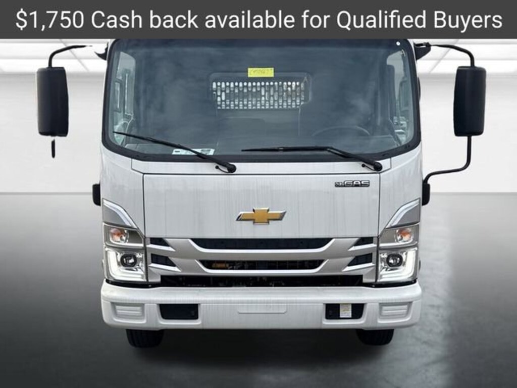 New 2025 Chevrolet Low Cab Forward 4500 HG Medium ASH Gray Truck