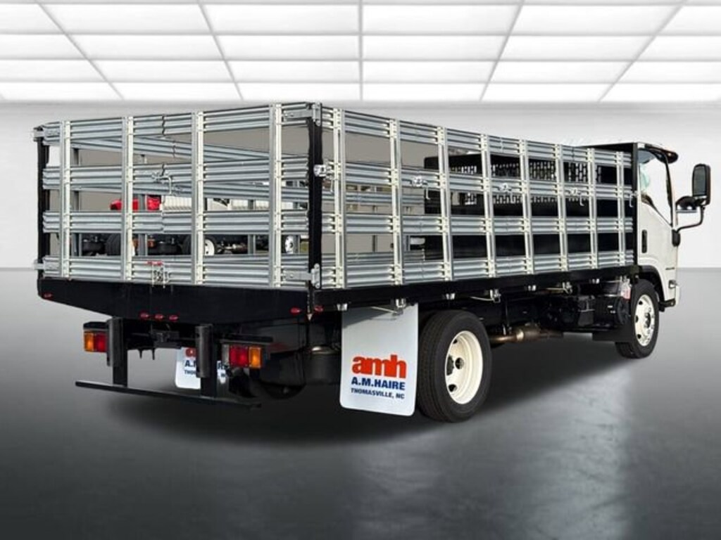 New 2025 Chevrolet Low Cab Forward 4500 HG Medium ASH Gray Truck