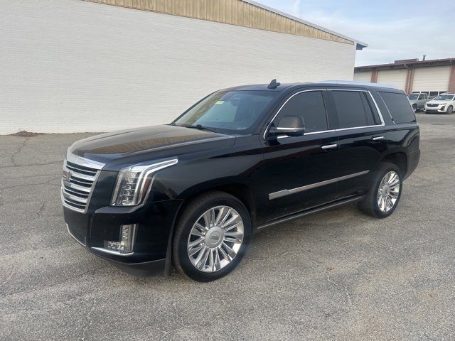 2015 Cadillac Escalade Platinum photo 2