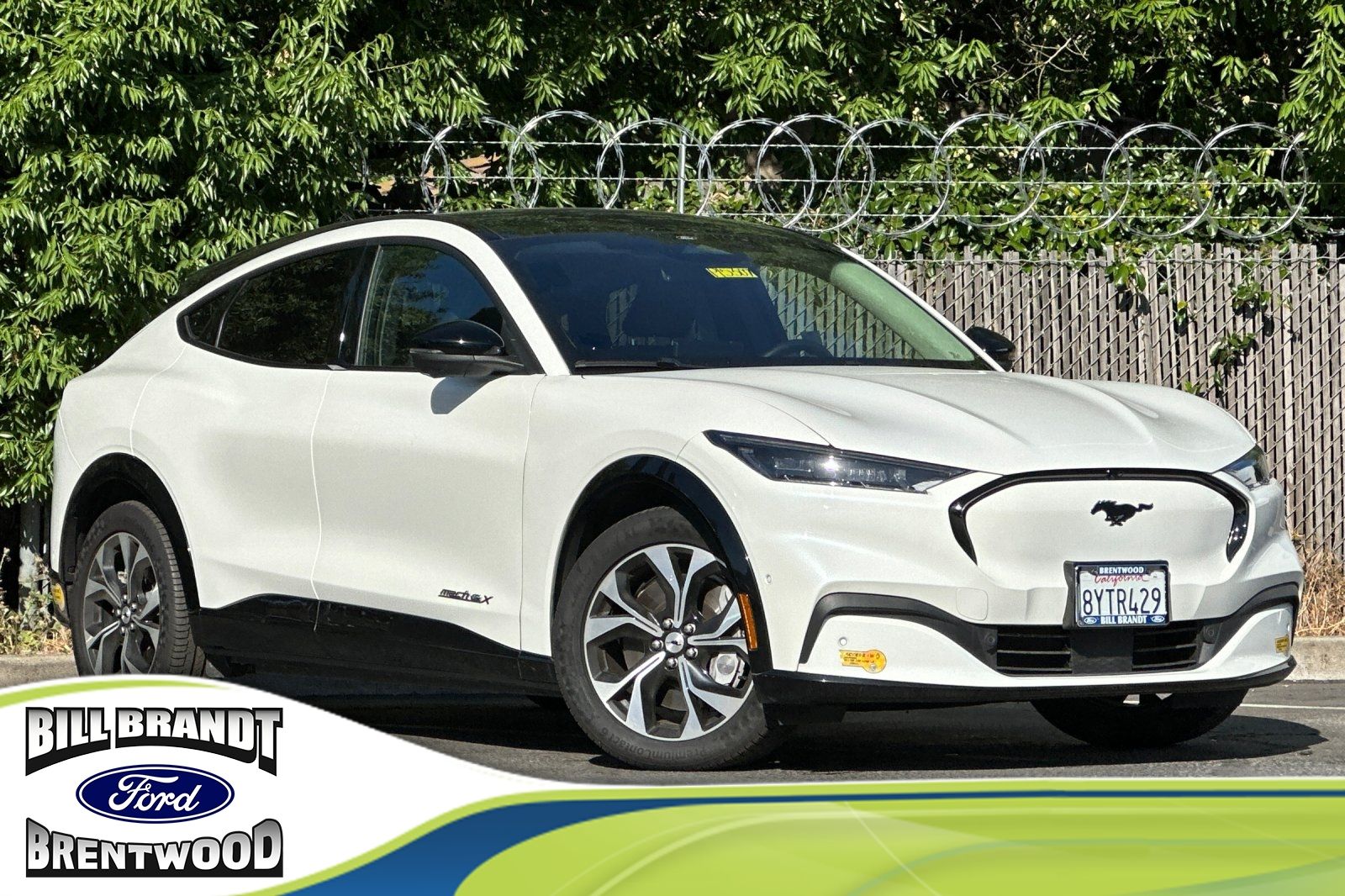 2021 Ford Mustang Mach-E Premium photo 1