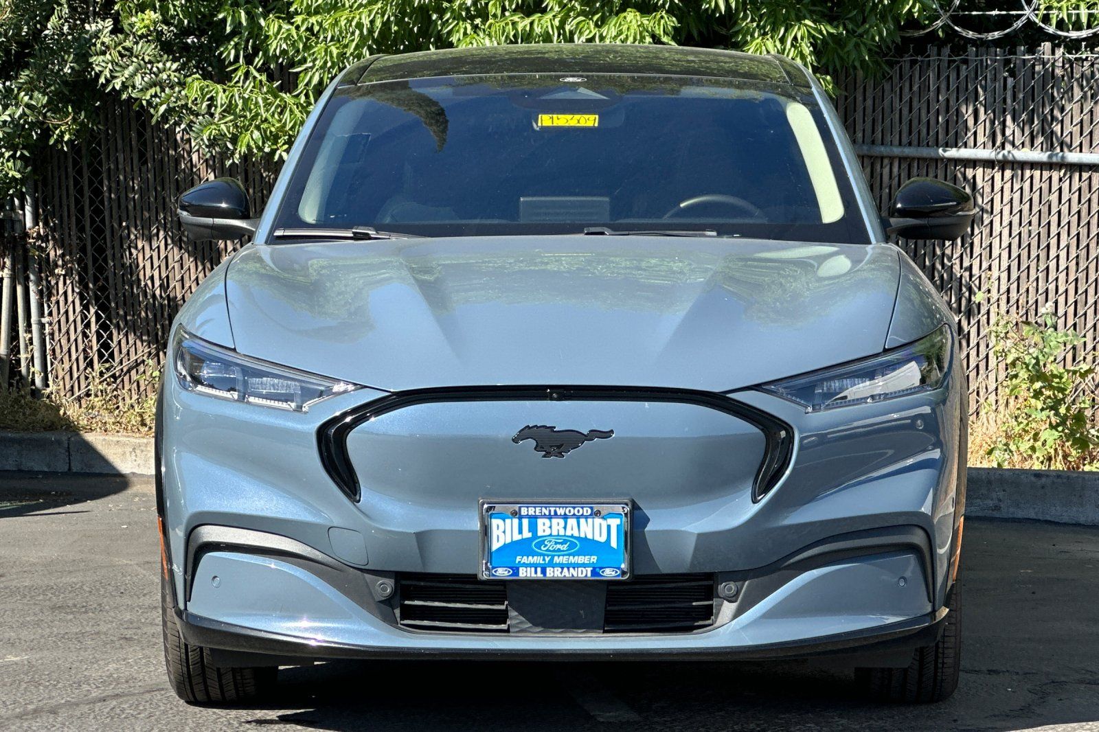 2023 Ford Mustang Mach-E Premium photo 4