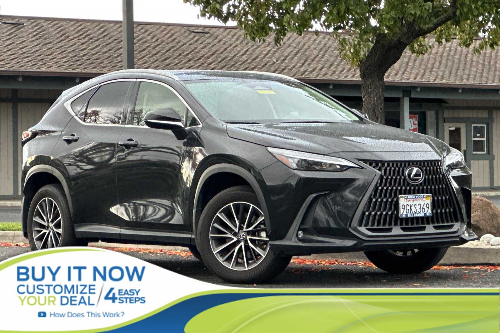 2024 Lexus NX 250's photo