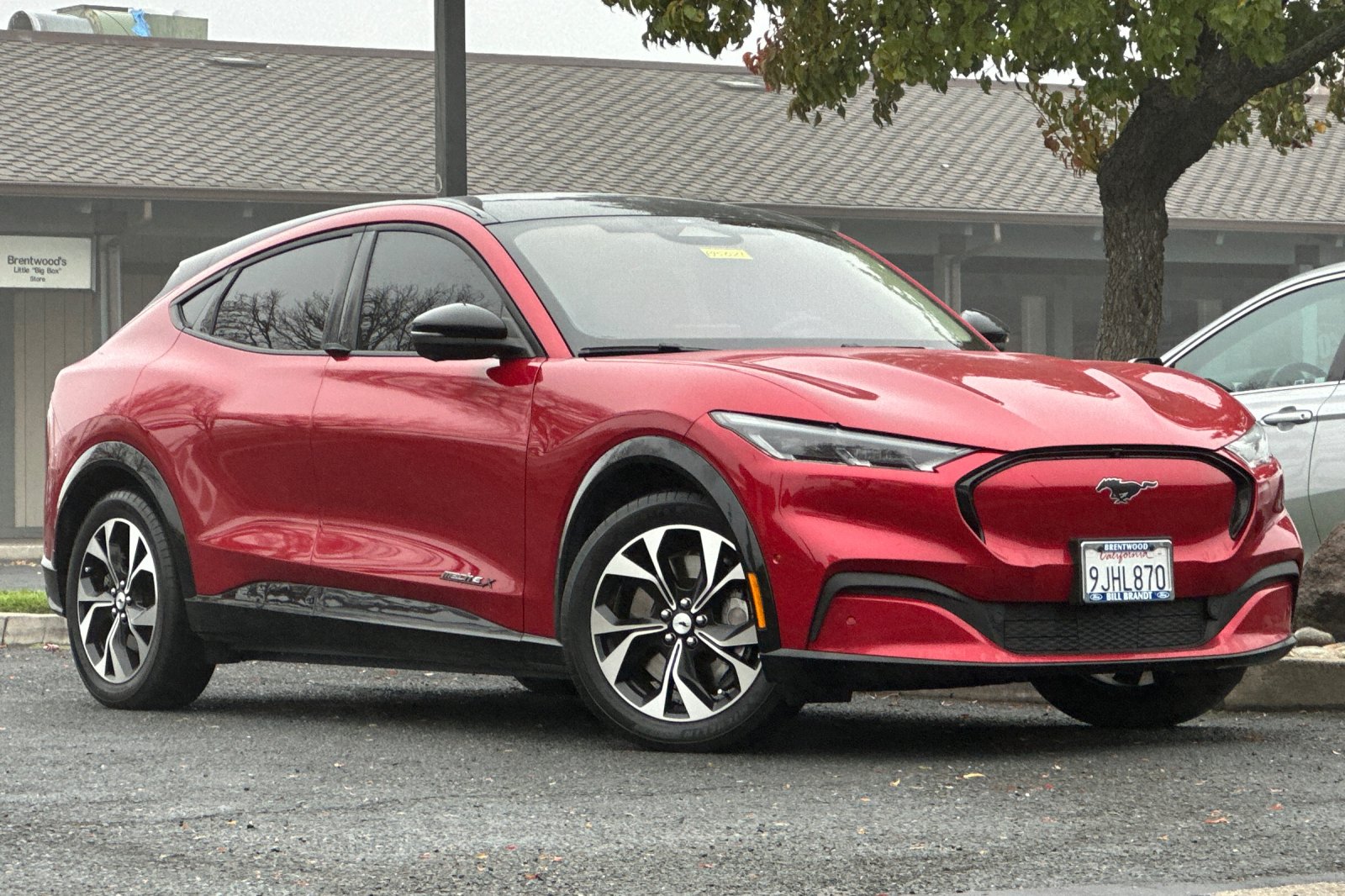 Used 2023 Ford Mustang Mach-E Premium RWD with VIN 3FMTK3R75PMA41557 for sale in Brentwood, CA