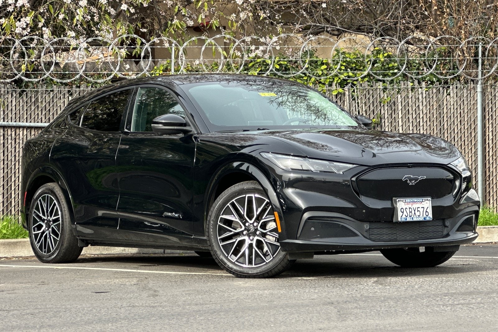 Used 2024 Ford Mustang Mach-E Premium RWD with VIN 3FMTK3R79RMA37045 for sale in Brentwood, CA